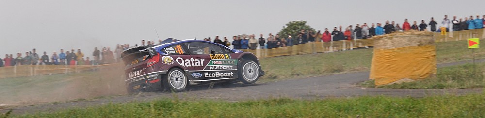 Thumbnail of DSC_5217.JPG