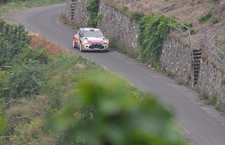 Thumbnail of DSC_5365.JPG